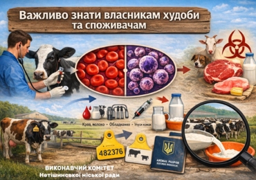 ВАЖЛИВО ЗНАТИ ВЛАСНИКАМ ВЕЛИКОЇ РОГАТОЇ ХУДОБИ І СПОЖИВАЧАМ