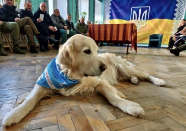 ТЕРАПІЯ ДОВІРИ ДЛЯ ВЕТЕРАНІВ